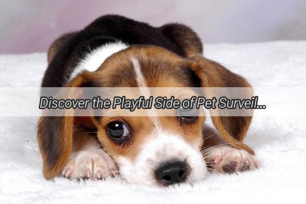 Discover the Playful Side of Pet Surveillance Mastering the Dummy Dog Camera in 5 Easy Steps